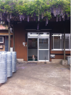 image-20110511午後102456.png