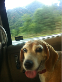 image-20110925午後072705.png