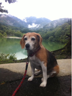 image-20110925午後072854.png