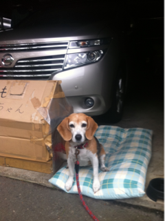 image-20110925午後073014.png