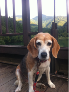 image-20110925午後073458.png