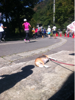 image-20110925午後095645.png